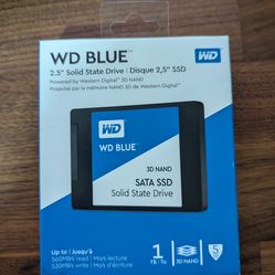 Wd Blue 1TB SSD