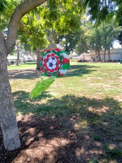 Soccer Pinata