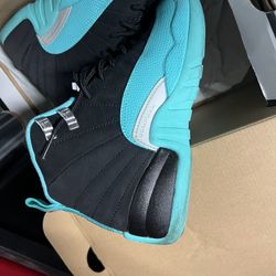 Jade Jordan 12s