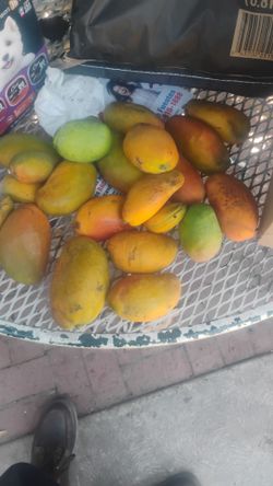 Se venden mangos!! 🥭🥭🥭