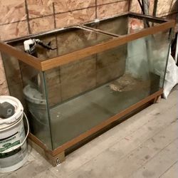 75 Gallon fish tank