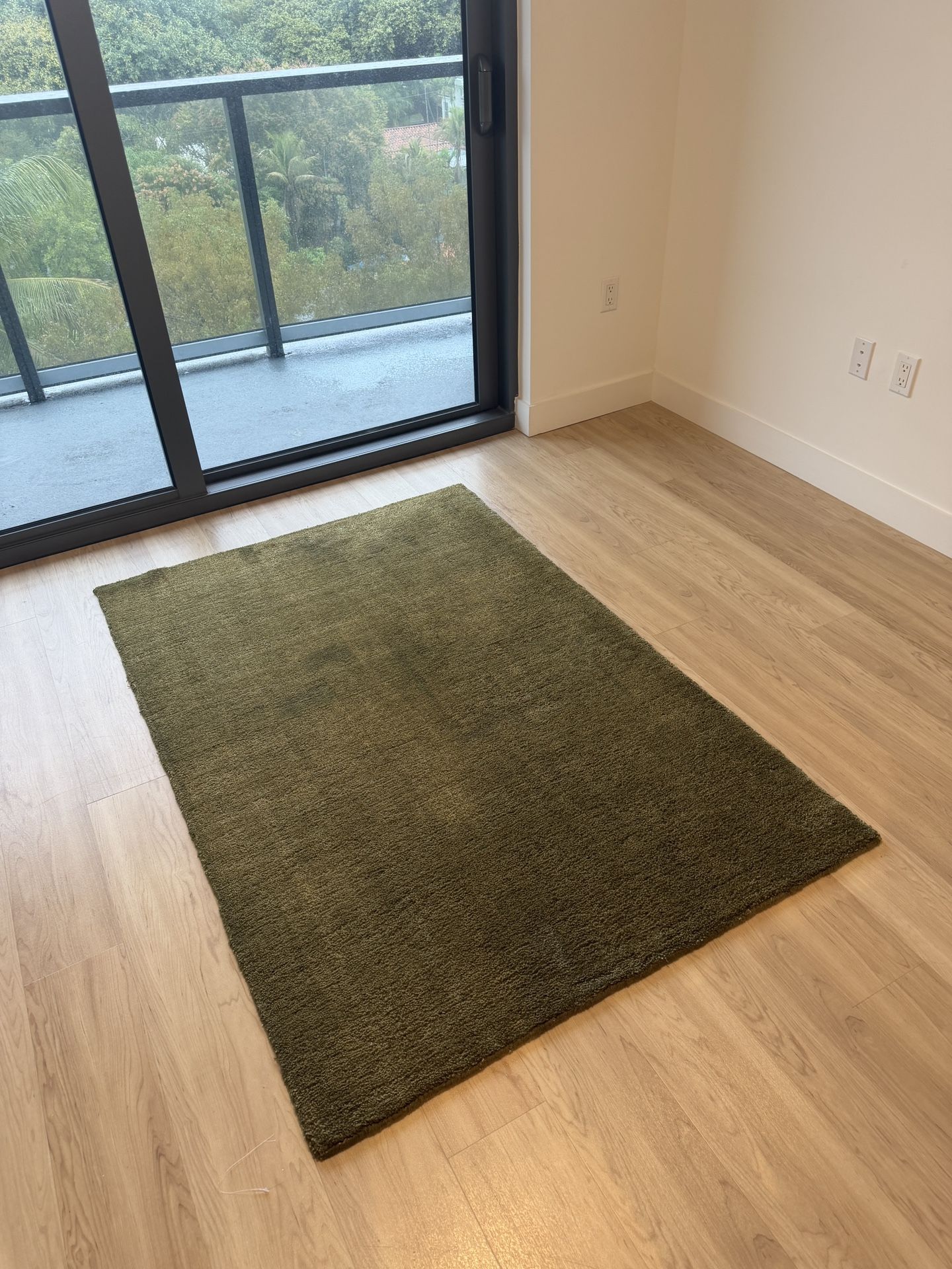 green rug (indoor only)