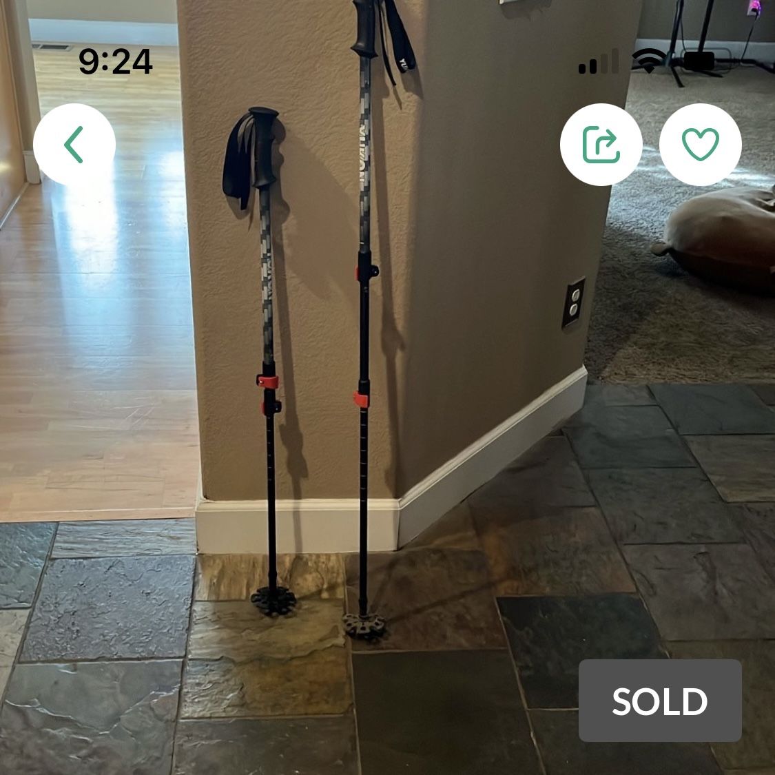 FREE Yukon Adjustable Ski/snowshoe Poles