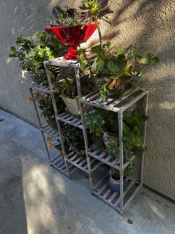 Plants Stand  Solid Wood 