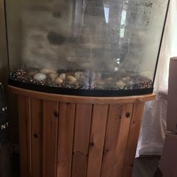 Fish Tank