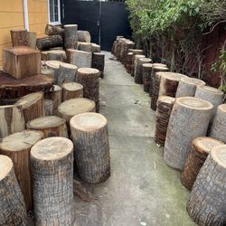 Palm Tree Stumps 