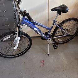Schwinn 24” Ranger