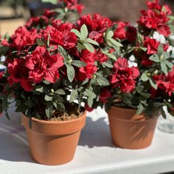 Decorative faux azelea plants - 2 left  