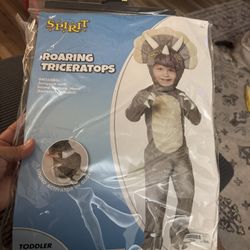 Kids Dinosaur Costume