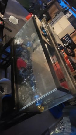 55 And 10 Gallon Fish Tank + Accessories