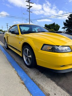 2004 Mach 1 cobra no trade