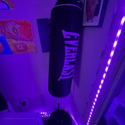 Spring Action Punching Bag 