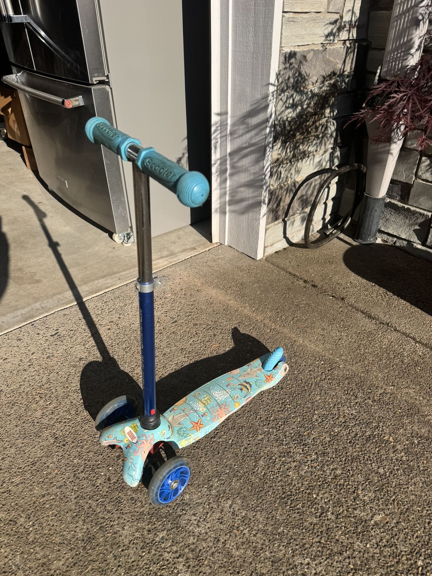 Toddler Scooter