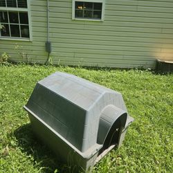 Dog House 