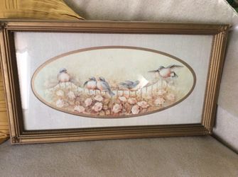 Bird picture