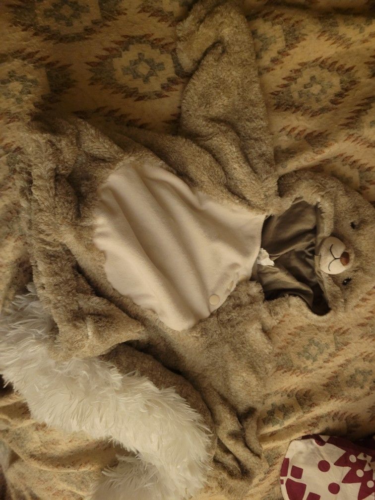Halloween Squirrel