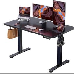 Adjustable Standing Electric Desk 