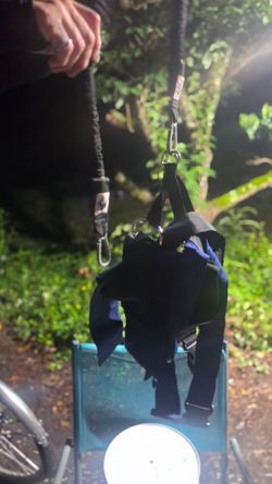 Safety harness