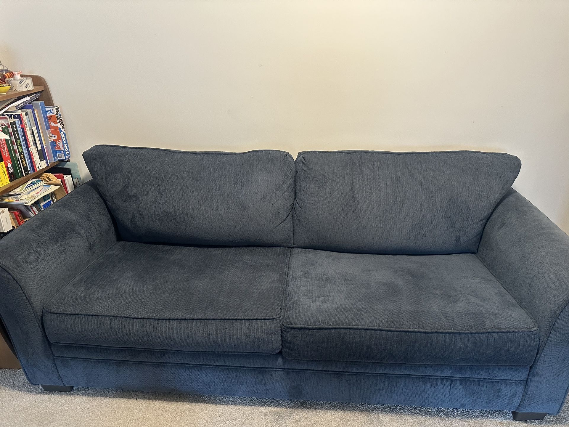 Queen Size pull Out Couch