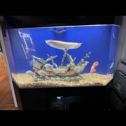 Fish Tank Acrylic 100 Gallons