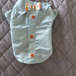 Boy Dog Easter Shirt Brand New! 