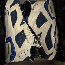 DS NEW JORDAN 6 SEAHAWKS SIZE 10