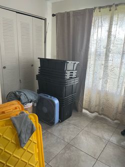 Storage bins with lids