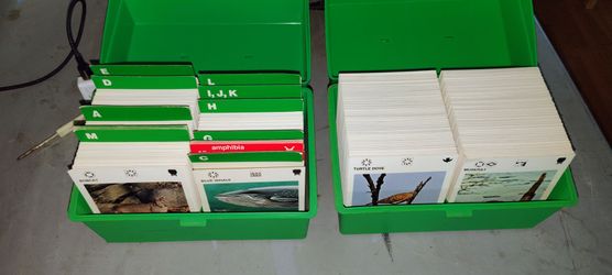 Vintage Wildlife Treasury – COMPLETE Set (Both Boxes + All Cards + Tabs)