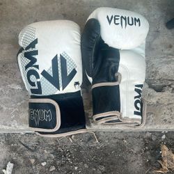 Boxing Gloves 