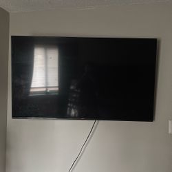 65 Inch 