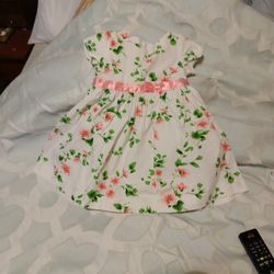 Plum Pudding Dress 24 M