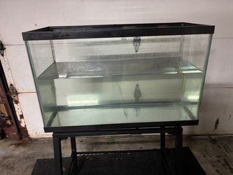 29 gallon aquarium