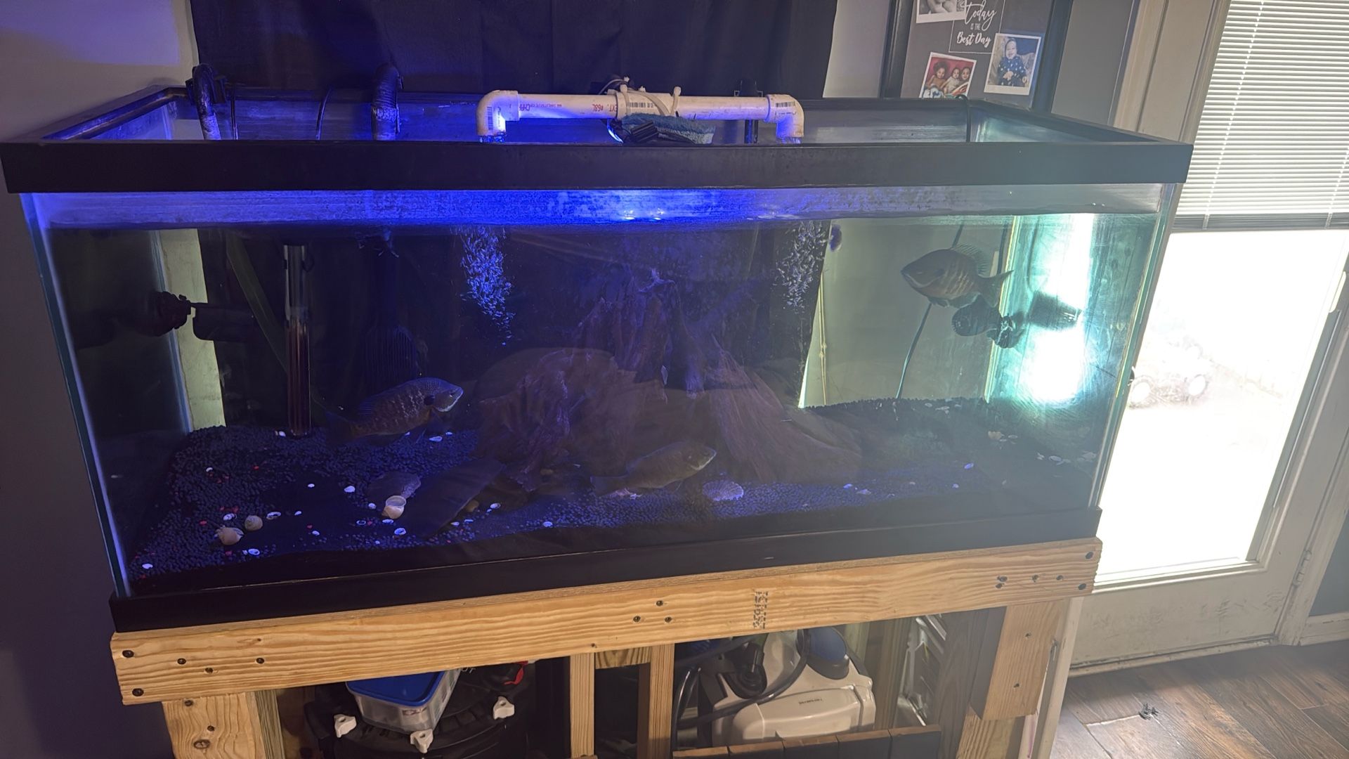 75G” Aquarium- Plus FX4 + Canister Filter + Aqua soil -
