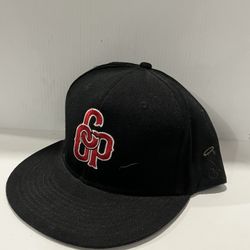 Grassroots Rest In Piece Oliver Fitted Stash Hat - Mint Condition