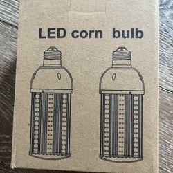 Light Bulbs