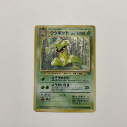 Vintage Japanese Victreebel Holo - Jungle Set 1996