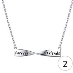 🆕 S925 Sterling Silver “Best Friends” Necklace Set of 2 of them for the price of 1!!