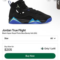 Jordan True flight 5.5y