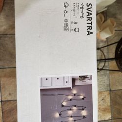 Outdoor Lights