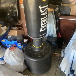 Everlast Stand Up Punching Bag