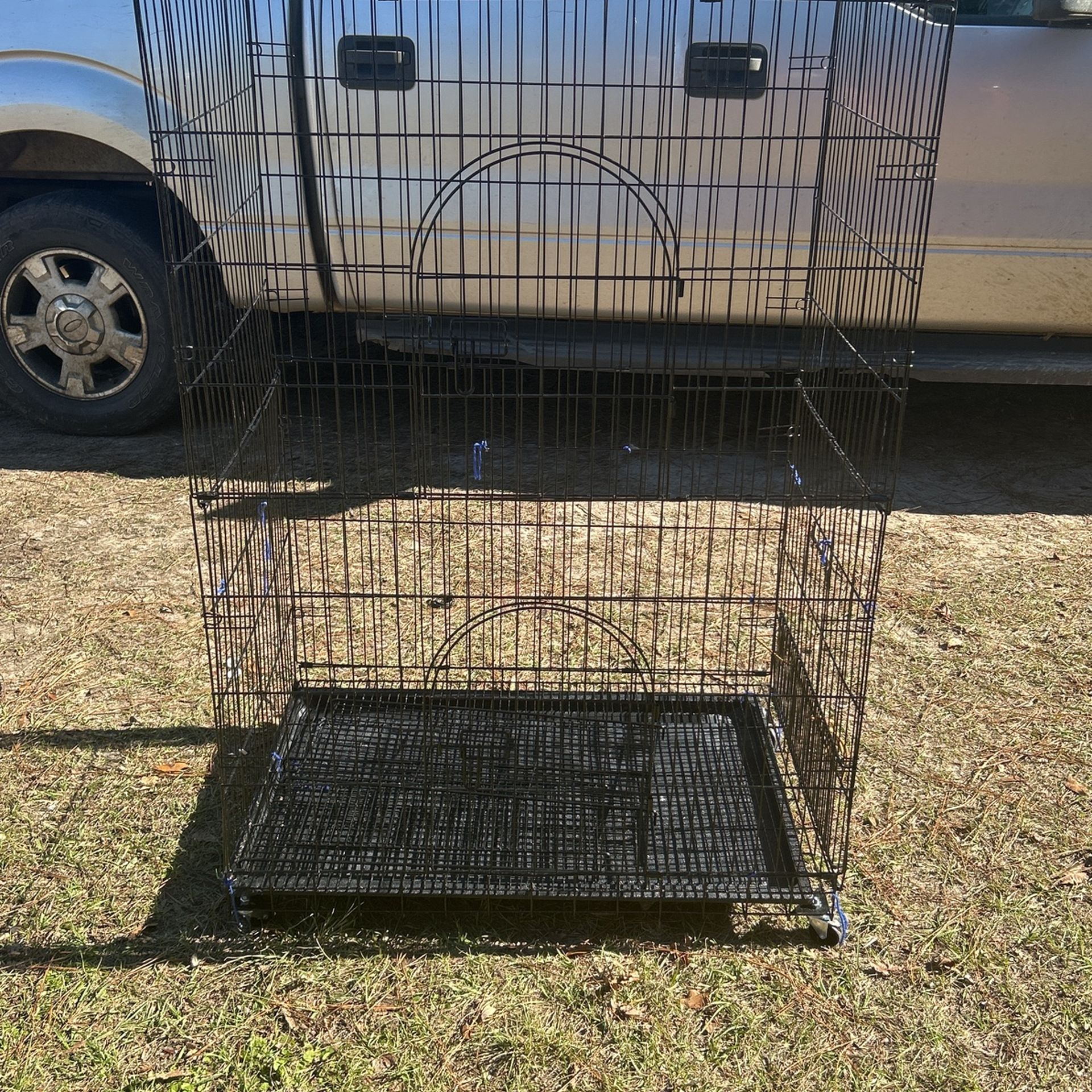 Bird Cage