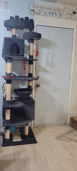 Cat three