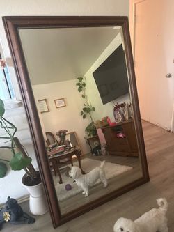 Mirror