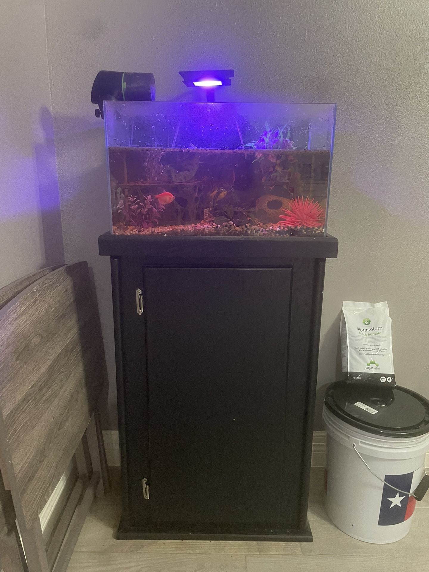 10 Gallon Fish Tank With stand, Fish Can Come With It, As Well As Auto Feeder And Fluval Light