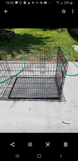Dog cage large