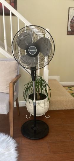 Holmes Oscillating stand fan