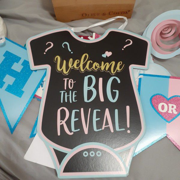 Boy Or Girl Reveal Decorations 