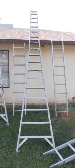 20 foot fruit picking ladder
