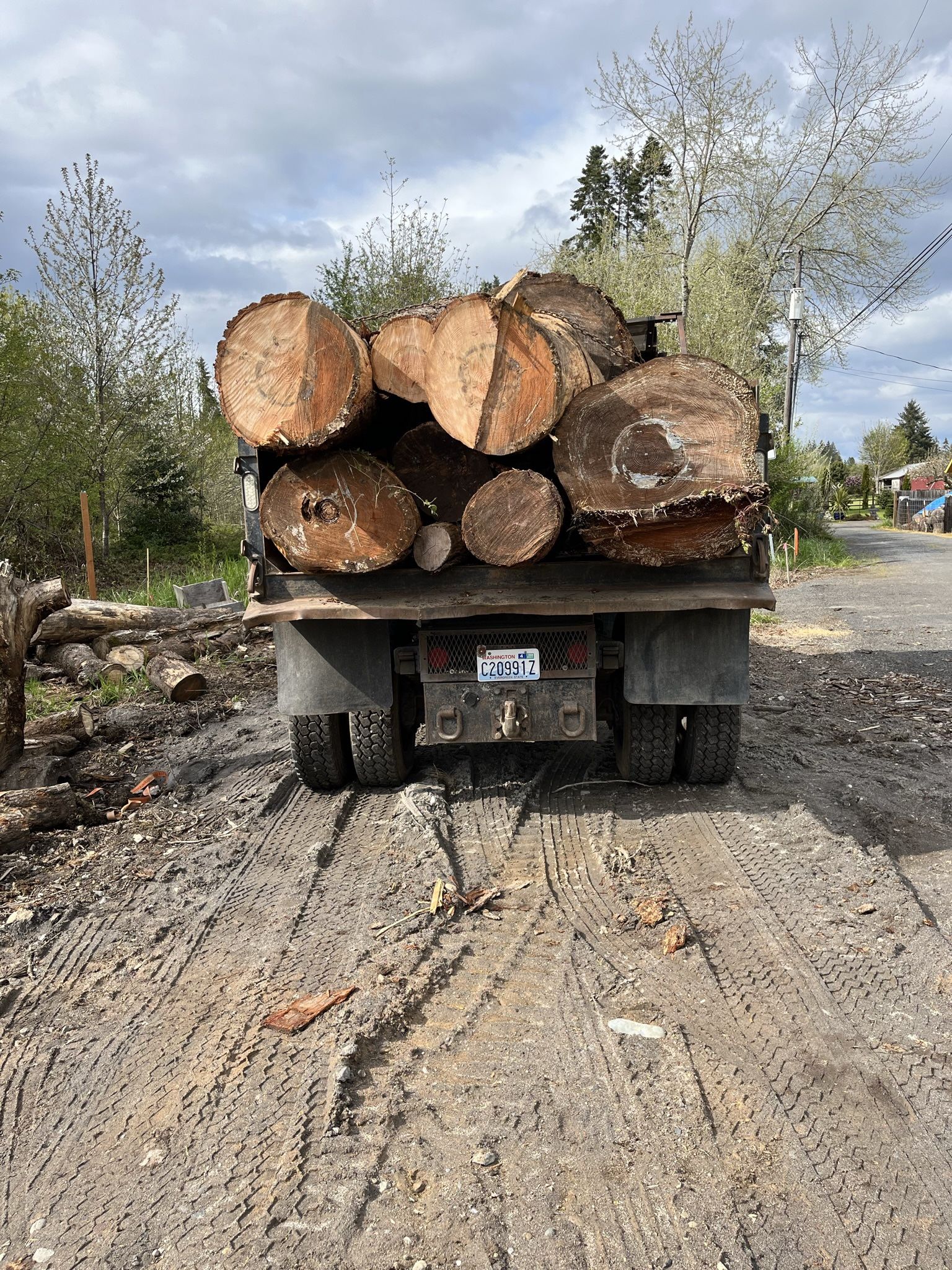 DUMP TRUCKLOAD OF FIREWOOD