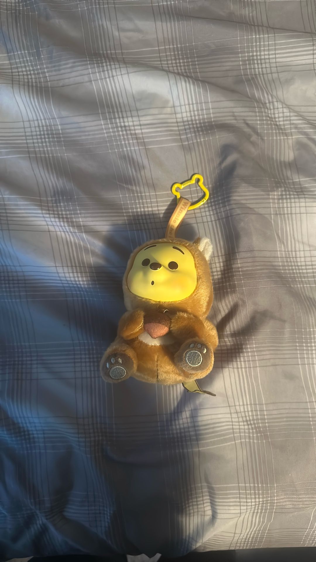 Winnie A Pooh Squirrel